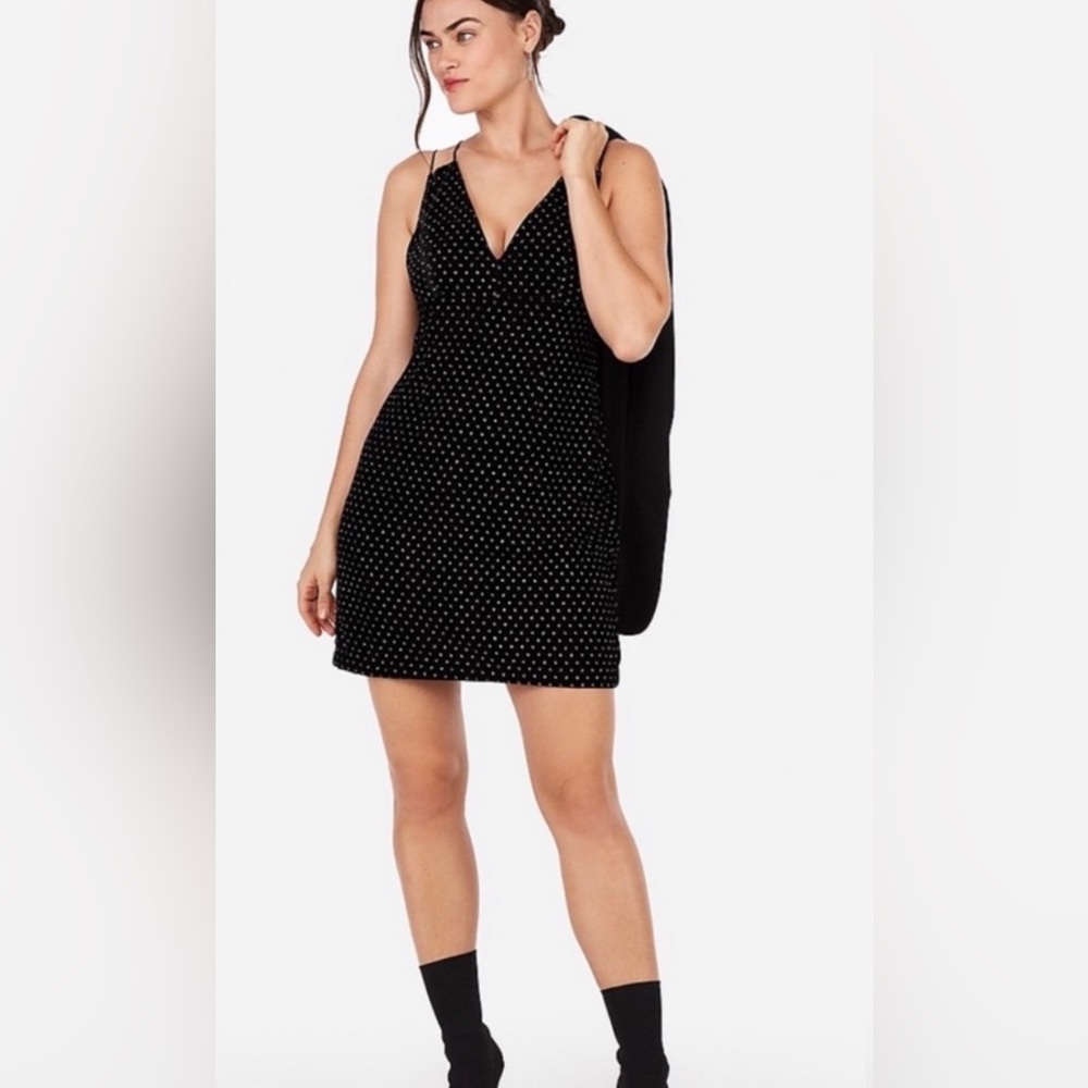 Express Velvet Dotted Dress
